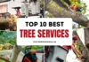 The 10 Best Tree Services in Durham, NC – Updated 2025 Best Tree Services in Durham NC