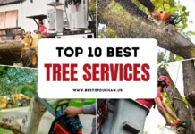 The 10 Best Tree Services in Durham, NC – Updated 2025 Best Tree Services in Durham NC