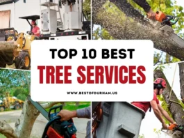 The 10 Best Tree Services in Durham, NC – Updated 2025 Best Tree Services in Durham NC