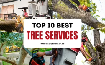 The 10 Best Tree Services in Durham, NC – Updated 2025 Best Tree Services in Durham NC