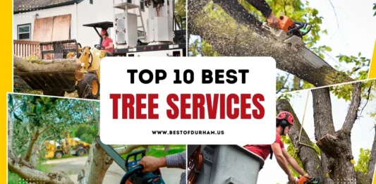 The 10 Best Tree Services in Durham, NC – Updated 2025 Best Tree Services in Durham NC