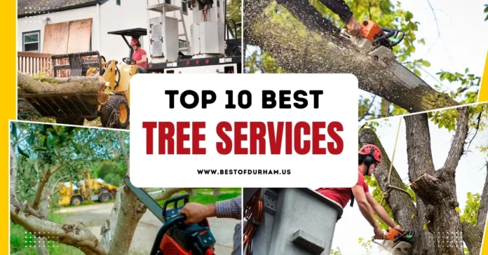 Best Tree Services in Durham NC