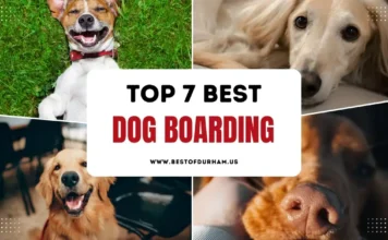 The 7 Best Dog Boarding in Durham, NC – Updated 2025 Best Dog Boarding in Durham