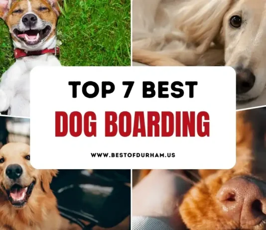 The 7 Best Dog Boarding in Durham, NC – Updated 2025 Best Dog Boarding in Durham