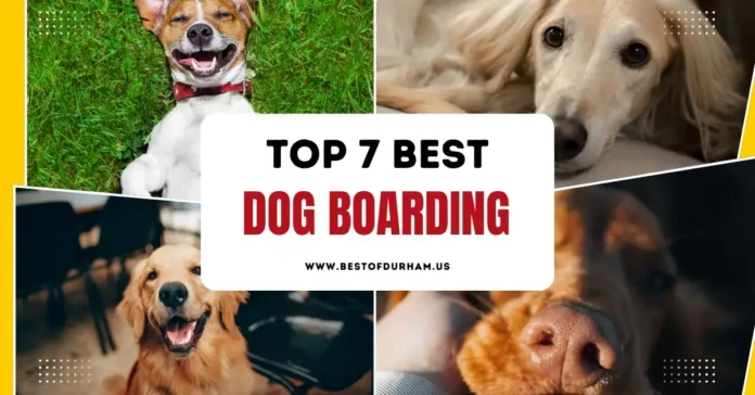 Best Dog Boarding in Durham