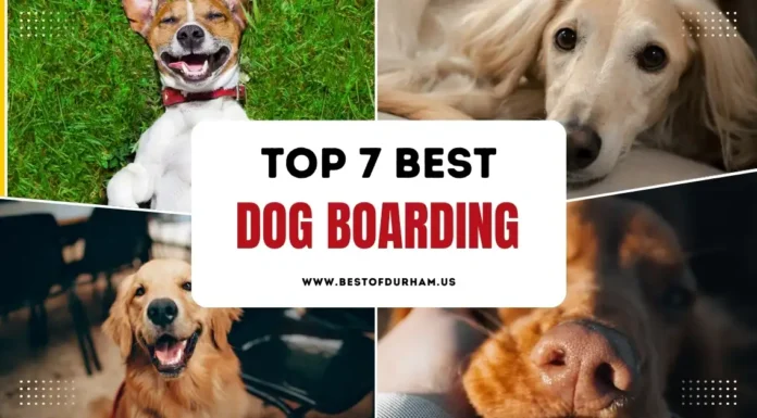 The 7 Best Dog Boarding in Durham, NC – Updated 2025 Best Dog Boarding in Durham